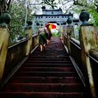 Rainy Rock Temple