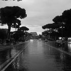 rainy Rome