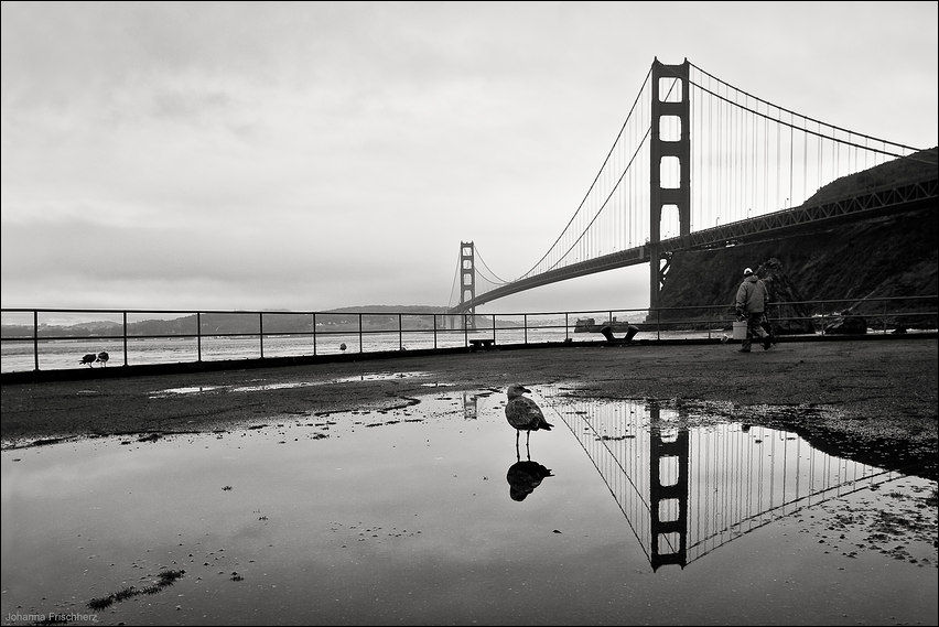 Rainy San Francisco