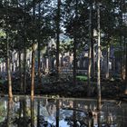 Rainy season at the Bayon