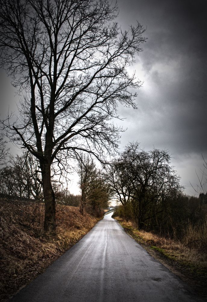 Rainy Street