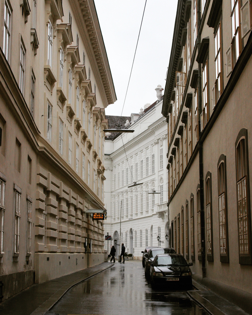 Rainy Vienna