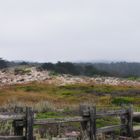 rainy west coast sand dunes