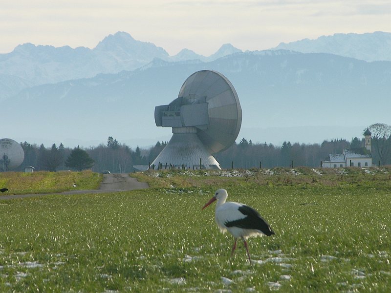 "Raisti": der Raistinger Storch