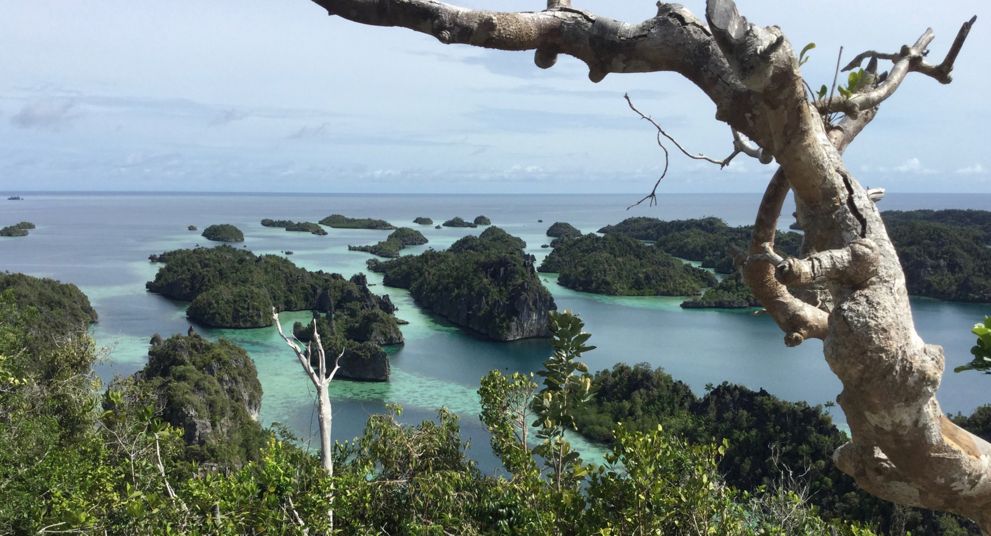 Raja Ampat