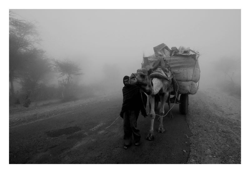 rajasthan fog