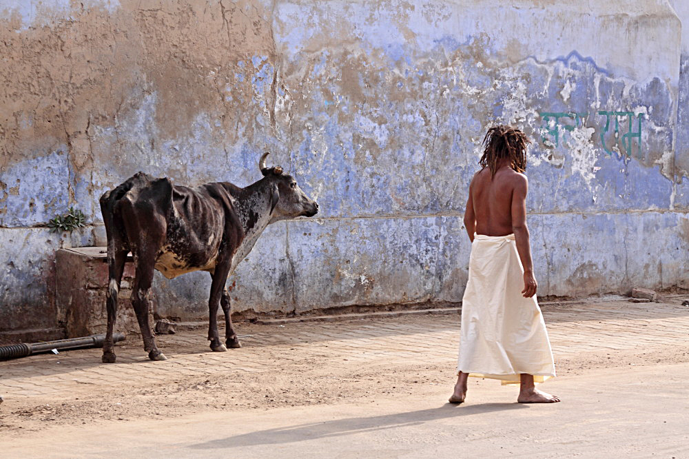 Rajasthan X