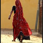 Rajasthani 4