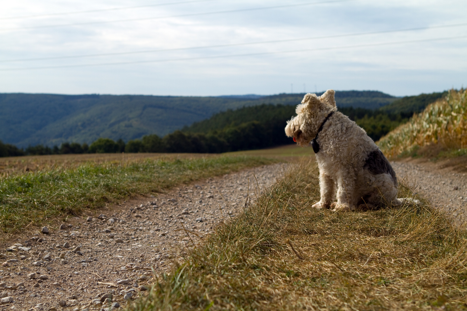 Rajka auf dem Handjesberg