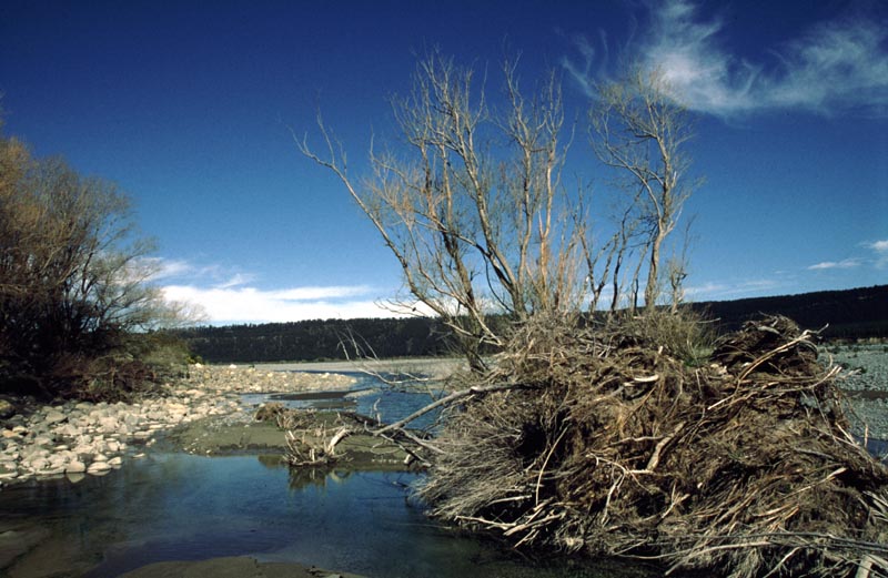 Rakaia River Flußbett in der Nähe von Mount Hutt