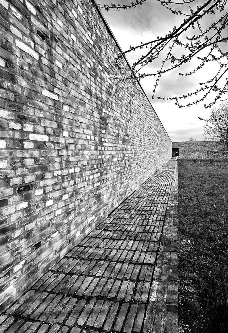 Raketenstation Hombroich, Siza Haus, (Teilansicht)