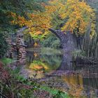 Rakotzbrücke Herbst... 