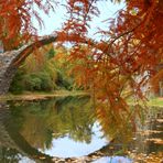 Rakotzbrücke im Herbst