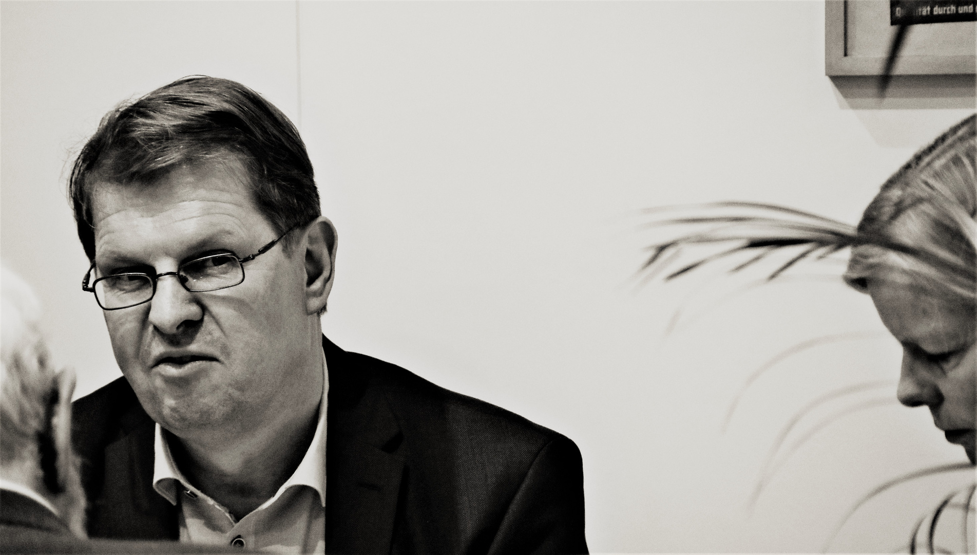 Ralf Stegner, Politiker