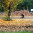 Rallentare: lavori in corso