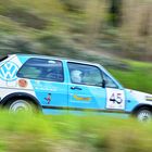 RALLY DE LA LLANA 2013 SABADELL