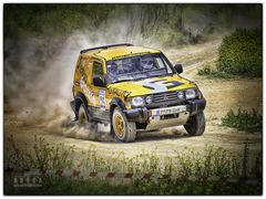 Rally de Loeches 3