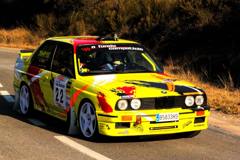 Rally de Sant Julia 2013