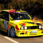 Rally de Sant Julia 2013