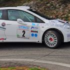 rally dei castelli romani