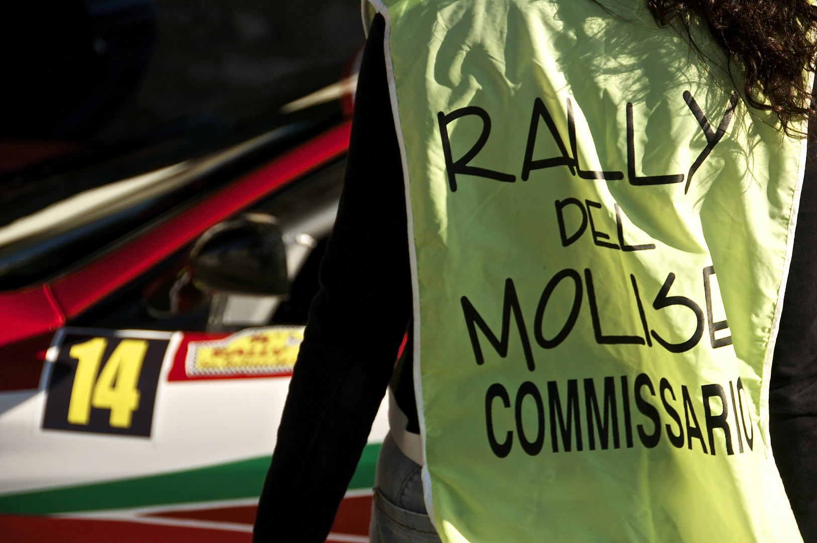 Rally del Molise 2013 - 1