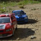 rally diecast