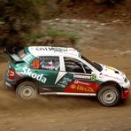 rally turkey