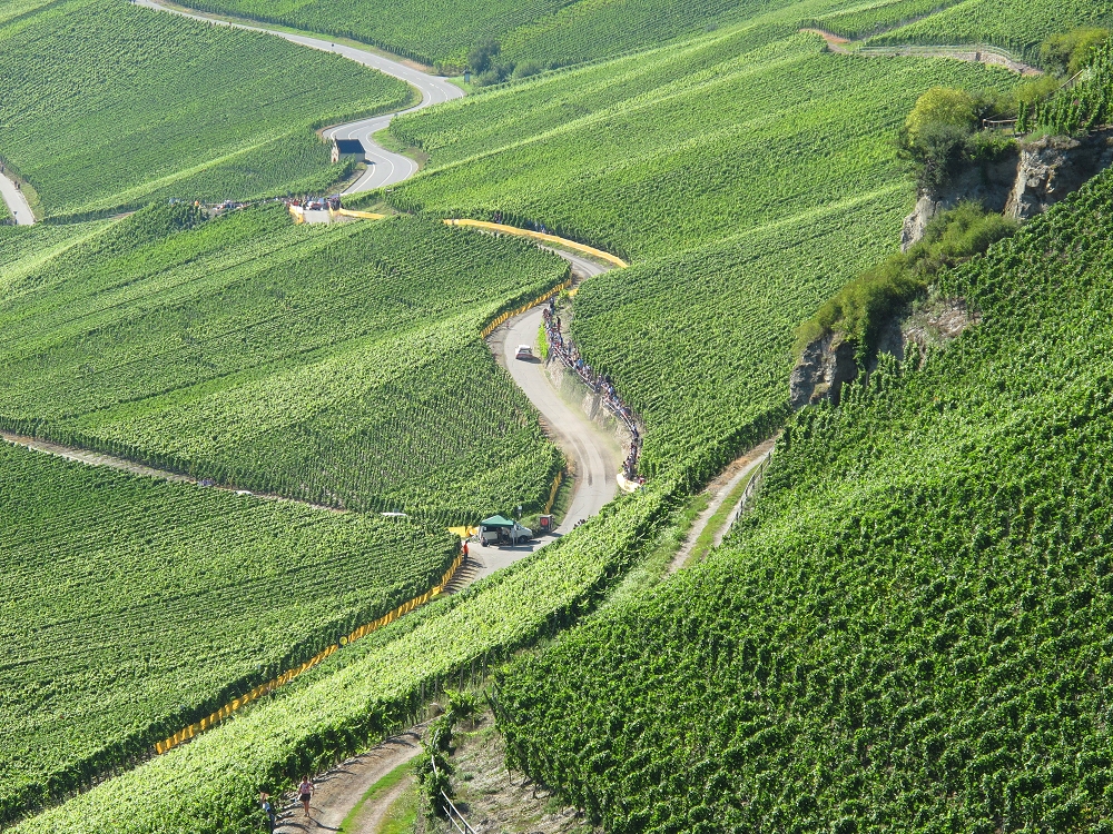 Rallye am Rhein, immer durch den Wein, so muss es sein...