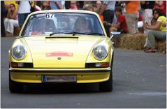 ... Rallye de Vienne (76) ...