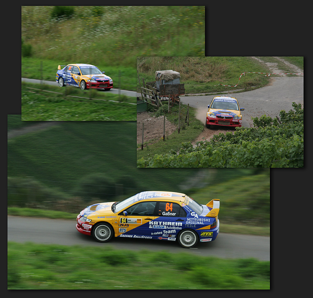 Rallye-Deutschland 2007 - Hermann Gaßner