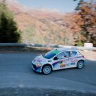 Rallye du Vallais 2012 - Der Sieger