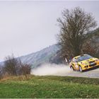 Rallye Erzgebirge 2025 #1