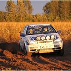 Rallye in der Abendsonne