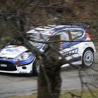 rallye monte carlo 2010: Hirvonen