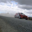 rallye new zealand