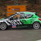 Rallye Südliche Weinstraße 2014