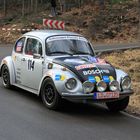 Rallye SÜW 2012...