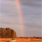 Rallye unter'm Regenbogen