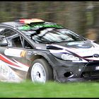 Rallye Vogelsberg 2011 - Herbold/Kölbach