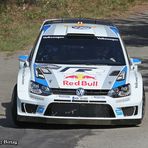 Rallye-Weltmeister 2013