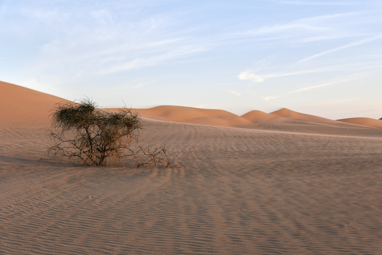 Rallye_Dresden_Dakar_Banjul_2022_0035