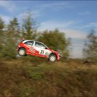 Rallyepanorama