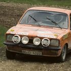 Rallyesport (153)