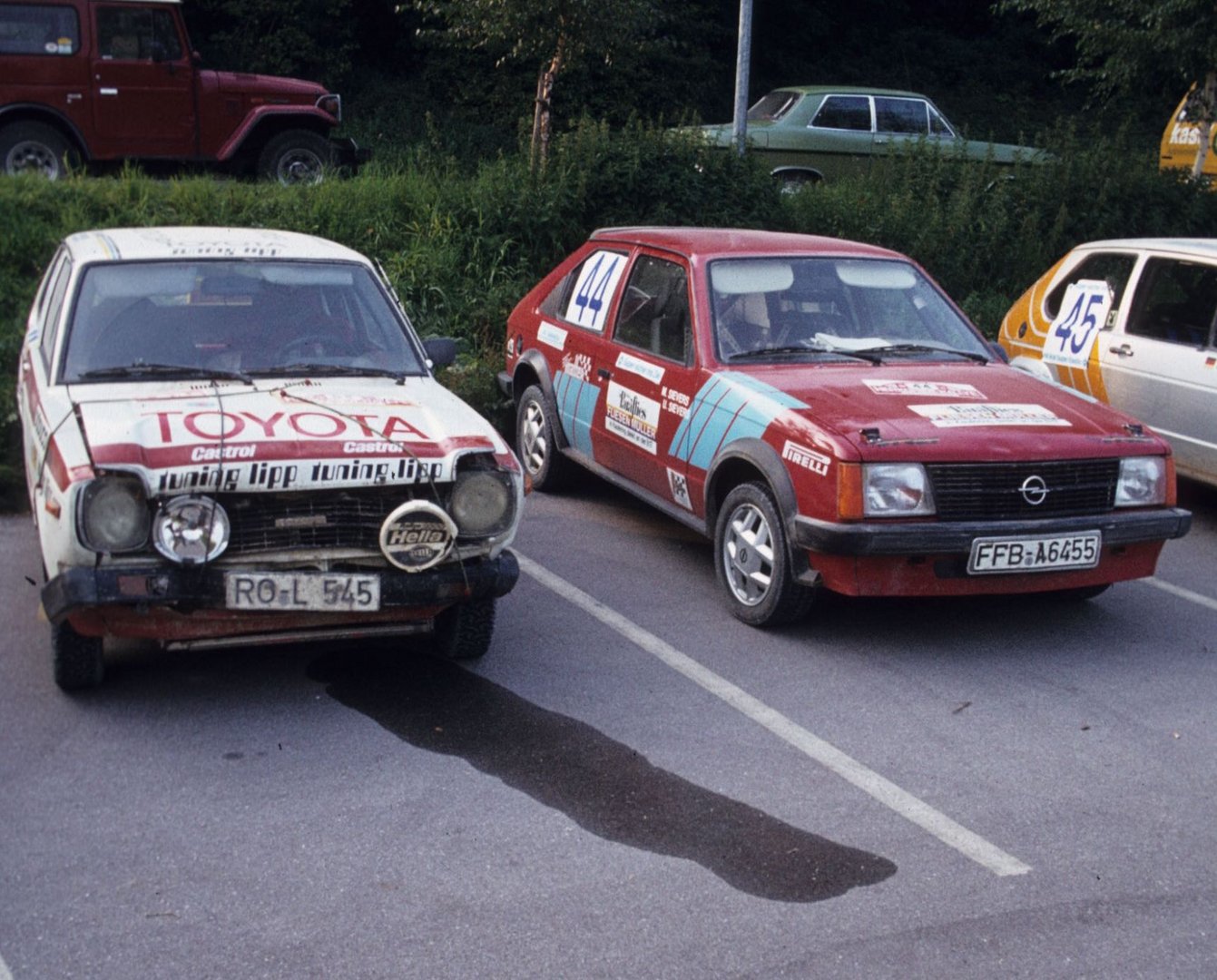 Rallyesport (196)