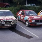 Rallyesport (196)