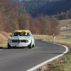 Rallyesport (206)