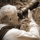 User Profile Photo