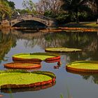 Rama IX Garden SUAN LUANG