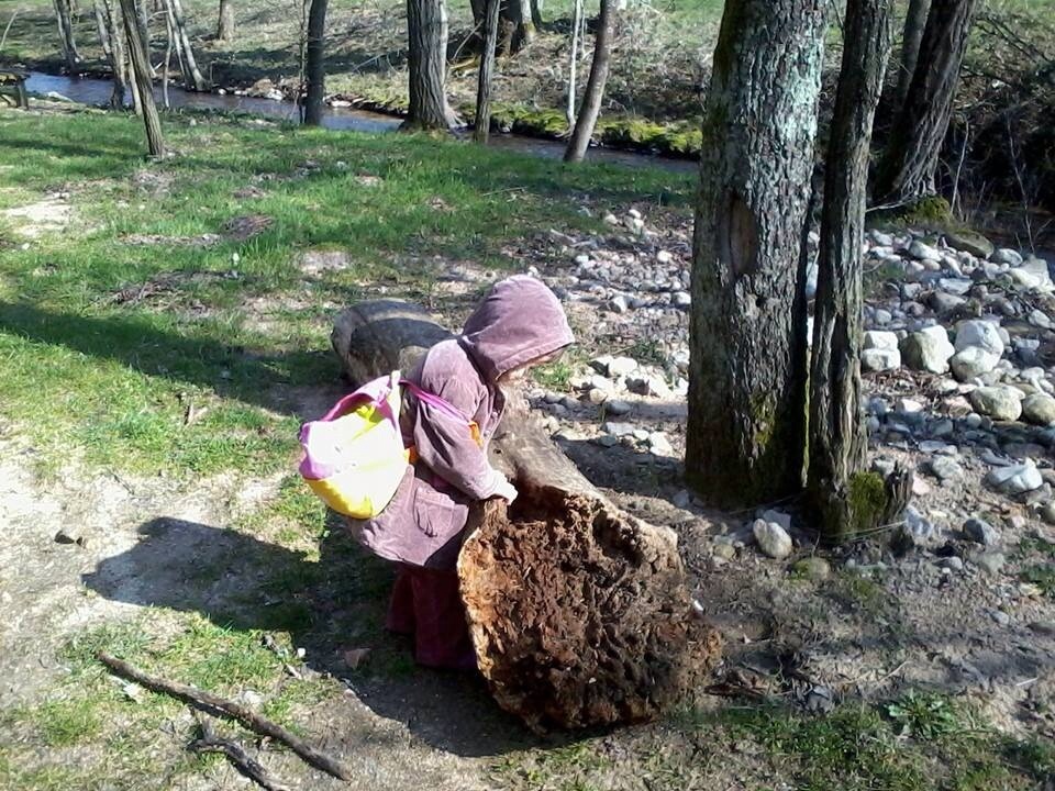 Ramassage de Bois flotté ok