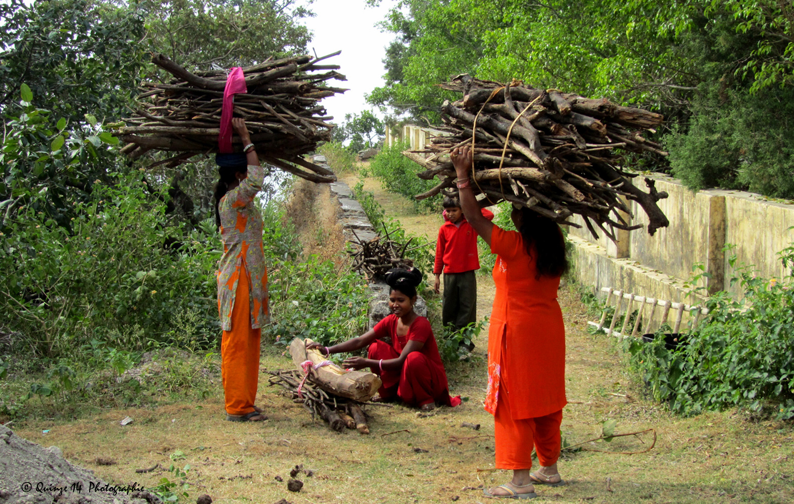 Ramasseuses de bois en Inde